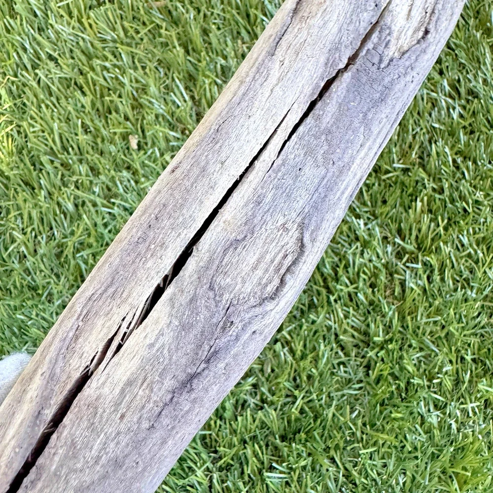 2 Natural Driftwood Pieces California Coast Rustic Beach Decor Aquarium Art